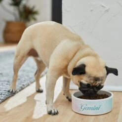 Frisco Watercolors Ceramic Personalized Dog Bowl -Cozy Paws 296664 PT2. AC SS1800 V1625764663