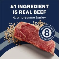 CANIDAE PURE With Wholesome Grains Real Beef & Barley Recipe Adult Dry Dog Food -Cozy Paws 297332 PT4. AC SS1800 V1690306305