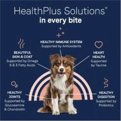 CANIDAE PURE With Wholesome Grains Real Beef & Barley Recipe Adult Dry Dog Food -Cozy Paws 297332 PT6. AC SS1800 V1690306312