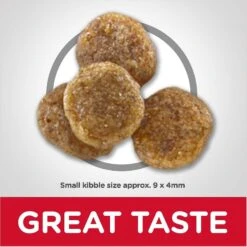 Hill's Science Diet Adult 7+ Small Bites Chicken Meal, Barley & Rice Recipe Dry Dog Food & Hill's Science Diet Adult 7+ Chicken & Barley Entree Canned Dog Food -Cozy Paws 298084 PT3. AC SS1800 V1621298551