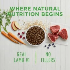 Instinct Be Natural Real Lamb & Oatmeal Recipe Freeze-Dried Raw Coated Dry Dog Food & Instinct Raw Boost Puppy Whole Grain Real Chicken & Brown Rice Recipe Freeze-Dried Raw Coated Dry Dog Food -Cozy Paws 298132 PT3. AC SS1800 V1621305737