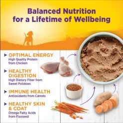 Wellness Complete Health Puppy Deboned Chicken, Oatmeal & Salmon Meal Recipe Dry Dog Food & Wellness Complete Health Just For Puppy Canned Dog Food -Cozy Paws 298680 PT4. AC SS1800 V1691425675