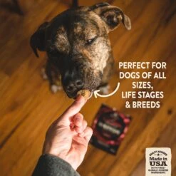 Wellness CORE Grain-Free Senior Deboned Turkey Recipe Dry Dog Food & Wellness CORE Healthy Joints Beef Grain-Free Crunchy Dog Treats -Cozy Paws 298710 PT7. AC SS1800 V1621990967