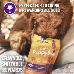 Wellness Small Breed Complete Health Puppy Turkey, Oatmeal & Salmon Meal Recipe Dry Dog Food & Wellness Soft Puppy Bites Lamb & Salmon Recipe Grain-Free Natural Dog Treats -Cozy Paws 298750 PT4. AC SS1800 V1621981938