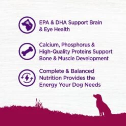 Wellness Small Breed Complete Health Puppy Turkey, Oatmeal & Salmon Meal Recipe Dry Dog Food & Wellness Soft Puppy Bites Lamb & Salmon Recipe Grain-Free Natural Dog Treats -Cozy Paws 298750 PT7. AC SS1800 V1621988896