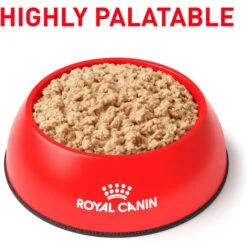 Royal Canin Veterinary Diet Recovery Ultra Soft Mousse In Sauce Wet Dog & Cat Food -Cozy Paws 299281 PT2. AC SS1800 V1684411830