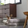 Frisco Boho Modern Couch Dog & Cat Bed -Cozy Paws 299392 MAIN. AC SS1800 V1638288742