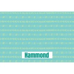 Frisco Mudcloth Personalized Dog & Cat Placemat -Cozy Paws 299552 PT2. AC SS1800 V1636048646