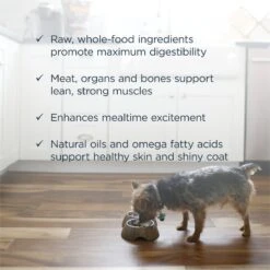 Instinct Bites Lamb Recipe Grain-Free Grass-Fed Raw Frozen Dog Food -Cozy Paws 301673 PT4. AC SS1800 V1668199706