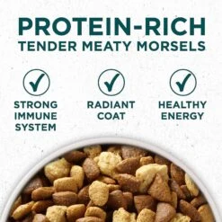 Purina ONE +Plus Natural Large Breed Formula Dry Puppy Food & Wellness Soft Puppy Bites Lamb & Salmon Recipe Grain-Free Natural Dog Treats -Cozy Paws 302060 PT3. AC SS1800 V1622832139