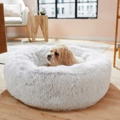 Frisco Eyelash Cat & Dog Bolster Bed & Frisco Eyelash Cat & Dog Blanket -Cozy Paws 303412 PT4. AC SS1800 V1623069146