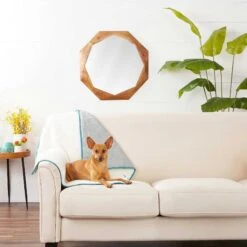 Frisco Sherpa Dog & Cat Blanket & Frisco Sherpa Hexagon Bolster Cat & Dog Bed -Cozy Paws 303598 PT3. AC SS1800 V1623082359