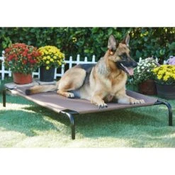Frisco Replacement Cover For Steel-Framed Elevated Dog Bed & Frisco Steel-Framed Elevated Dog Bed -Cozy Paws 303624 PT5. AC SS1800 V1623084445