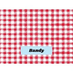 Frisco Personalized Gingham Plaid Sherpa Cat & Dog Blanket, 30" X 40" -Cozy Paws 303834 PT4. AC SS1800 V1637610144