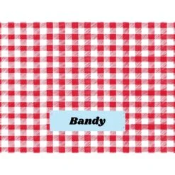 Frisco Personalized Gingham Plaid Soft Fleece Cat & Dog Blanket, 30" X 40" -Cozy Paws 304001 PT4. AC SS1800 V1637609279