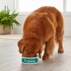 Frisco Personalized Chevron Ceramic Dog Bowl, 4.75-cup, 38oz -Cozy Paws 306761 PT4. AC SS1800 V1639518108