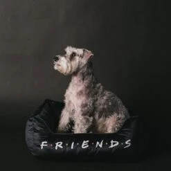 Buckle-Down Friends Bolster Dog Bed -Cozy Paws 306912 PT3. AC SS1800 V1657656801