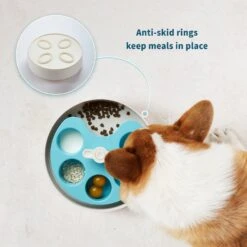Pet Dream House SPIN Medium Level Palette Non-Skid Plastic Interactive Slow Feeder Dog Bowl, Blue -Cozy Paws 308746 PT4. AC SS1800 V1627681662