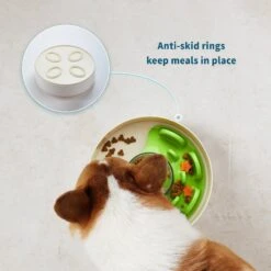Pet Dream House SPIN Tricky Level UFO Maze Non-Skid Plastic Interactive Slow Feeder Dog Bowl 11 Pet Dream House SPIN Tricky Level UFO Maze Non-Skid Plastic Interactive Slow Feeder Dog Bowl -Cozy Paws 308748 PT4. AC SS1800 V1627510994
