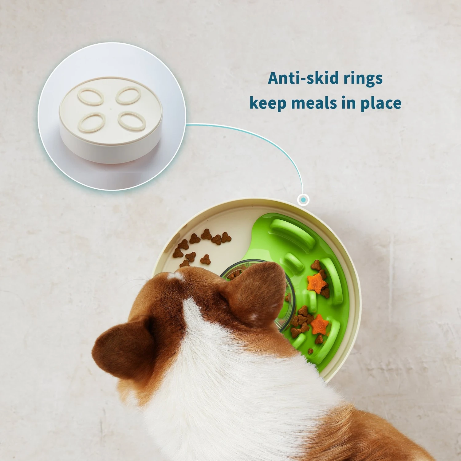 Pet Dream House SPIN Tricky Level UFO Maze Non-Skid Plastic Interactive Slow Feeder Dog Bowl 6 Pet Dream House SPIN Tricky Level UFO Maze Non-Skid Plastic Interactive Slow Feeder Dog Bowl - Image 4