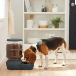Frisco Wide Mouth Gravity Feeder -Cozy Paws 308943 PT4. AC SS1800 V1634318507