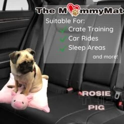 Archstone Pets The MommyMat Rosie The Pig Cat & Dog Bed -Cozy Paws 310195 PT7. AC SS1800 V1625609775