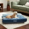 Frisco Personalized Navy Bolstered Bed With Navy Check Bolster -Cozy Paws 311766 MAIN. AC SS1800 V1633102642