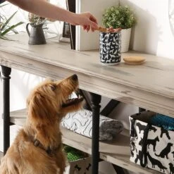 Bone Dry Ceramic Show Dog Treat Canister -Cozy Paws 313409 PT4. AC SS1800 V1631774826