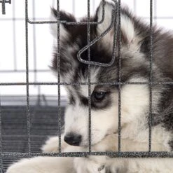 Pet Adobe Hanging Dog Bowl Set -Cozy Paws 315037 PT5. AC SS1800 V1626388021