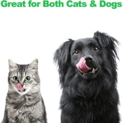 Pet Adobe Modern Double Elevated Dog Bowl -Cozy Paws 315043 PT4. AC SS1800 V1626387379