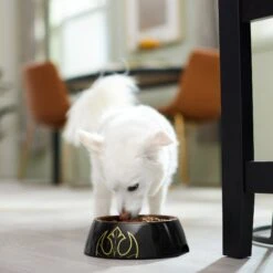 STAR WARS Melamine Stainless Steel Dog & Cat Bowl -Cozy Paws 315268 PT2. AC SS1800 V1647283229