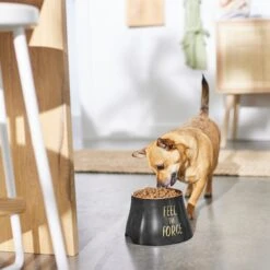 STAR WARS REBEL ICON Elevated Melamine Stainless Steel Dog & Cat Bowl, Black, 1.5 Cup -Cozy Paws 315274 PT2. AC SS1800 V1647282246