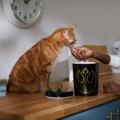 STAR WARS Melamine Dog & Cat Treat Jar -Cozy Paws 315276 PT3. AC SS1800 V1647281986