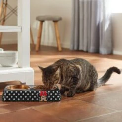 Disney Minnie Mouse Peek-A-Boo Melamine Stainless Steel Double Dog & Cat Bowl -Cozy Paws 315286 PT3. AC SS1800 V1647282324