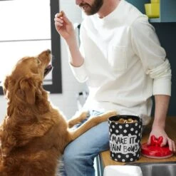 Disney Minnie Mouse Peek-A-Boo Melamine Dog & Cat Treat Jar 10 Disney Minnie Mouse Peek-A-Boo Melamine Dog & Cat Treat Jar -Cozy Paws 315289 PT2. AC SS1800 V1647282455