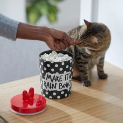 Disney Minnie Mouse Peek-A-Boo Melamine Dog & Cat Treat Jar 11 Disney Minnie Mouse Peek-A-Boo Melamine Dog & Cat Treat Jar -Cozy Paws 315289 PT3. AC SS1800 V1647281969