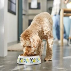 Disney Mickey Mouse Lemon Melamine Stainless Steel Dog & Cat Bowl -Cozy Paws 315295 PT2. AC SS1800 V1647282906