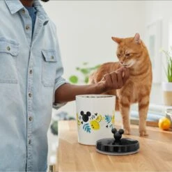 Disney Mickey Mouse Lemon Melamine Dog & Cat Treat Jar -Cozy Paws 315302 PT3. AC SS1800 V1647283698