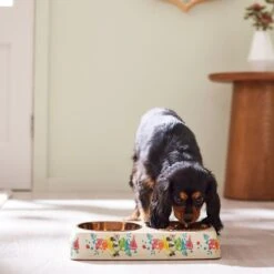 Disney Minnie Mouse Summer Bamboo Melamine Stainless Steel Double Dog & Cat Bowl -Cozy Paws 315343 PT2. AC SS1800 V1647283653