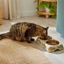 Disney Minnie Mouse Summer Bamboo Melamine Stainless Steel Double Dog & Cat Bowl -Cozy Paws 315343 PT3. AC SS1800 V1647282052