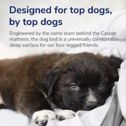 Casper Bolster Dog Bed -Cozy Paws 316201 PT3. AC SS1800 V1651787787