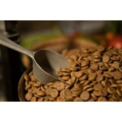 Regal Pet Foods Lean Recipe Dry Dog Food -Cozy Paws 316453 PT3. AC SS1800 V1630335588