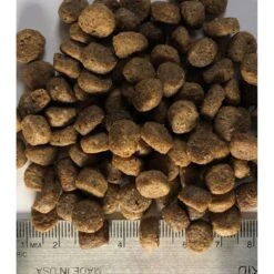 Regal Pet Foods Puppy Recipe Dry Dog Food -Cozy Paws 316458 PT3. AC SS1800 V1630335882