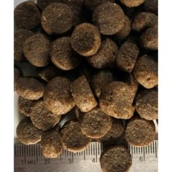 Regal Pet Foods Large Breed Puppy Recipe Dry Dog Food 9 Regal Pet Foods Large Breed Puppy Recipe Dry Dog Food -Cozy Paws 316461 PT3. AC SS1800 V1630335527
