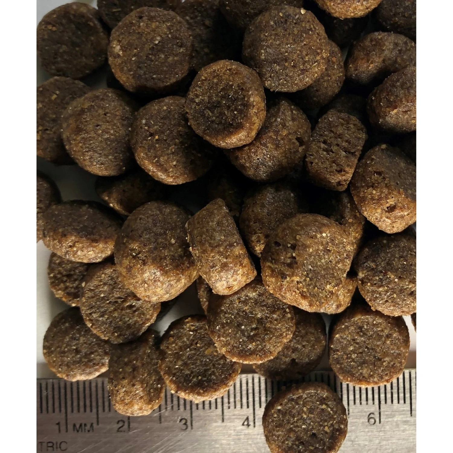 Regal Pet Foods Large Breed Puppy Recipe Dry Dog Food 6 Regal Pet Foods Large Breed Puppy Recipe Dry Dog Food - Image 4