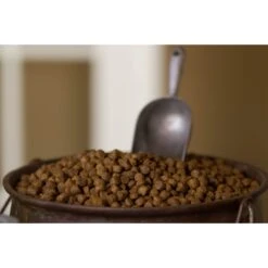 Regal Pet Foods Sensi Bites Turkey Meal Recipe Dry Dog Food -Cozy Paws 316463 PT4. AC SS1800 V1630337360