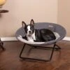 K&H Pet Products Cozy Cot Elevated Dog Bed -Cozy Paws 316703 MAIN. AC SS1800 V1696351195