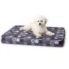 K&H Pet Products Superior Orthopedic Indoor/Outdoor Dog Bed -Cozy Paws 316713 MAIN. AC SS1800 V1627424703
