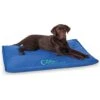 K&H Pet Products Coolin' Comfort Orthopedic Dog Bed