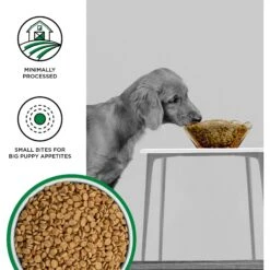 BIXBI Liberty Puppy Original Recipe Fresh Turkey, Chicken & Fish Dry Dog Food -Cozy Paws 317472 PT2. AC SS1800 V1669065229